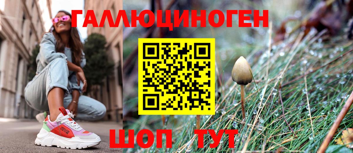 Псилоцибиновые грибы MAGIC MUSHROOMS  Галлюциногенные грибы мухоморы  Шадринск  Вход с VPN 